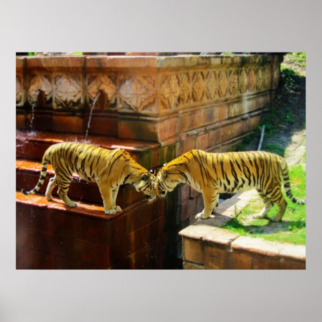 Póster Dois Tigres (Frente)