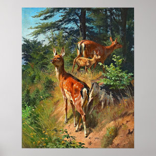 Poster Dois Veados E Bonitos Na Floresta