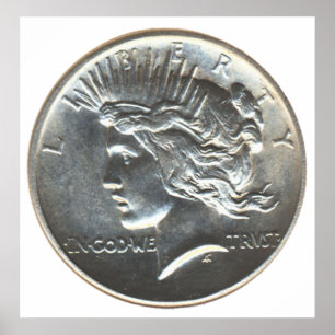 Poster Dólar da liberdade