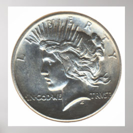 Poster Dólar libertário