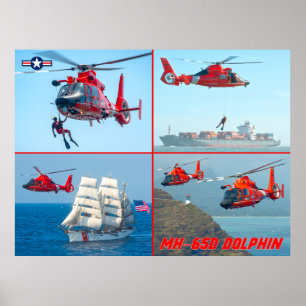 POSTER DOLFIM MH-65D