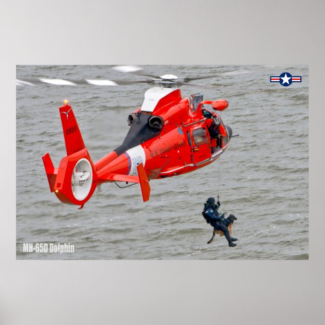 POSTER DOLFIM MH-65D (Frente)