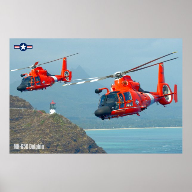 POSTER DOLFIM MH-65D (Frente)
