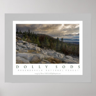 Póster Dolly Sods Wilderness in West Virginia