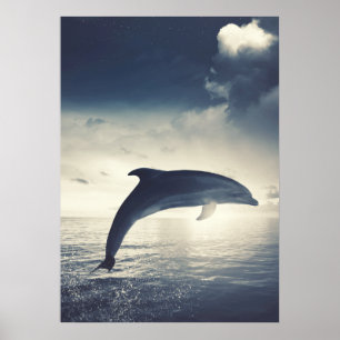 Poster Dolphin jumping out of water art