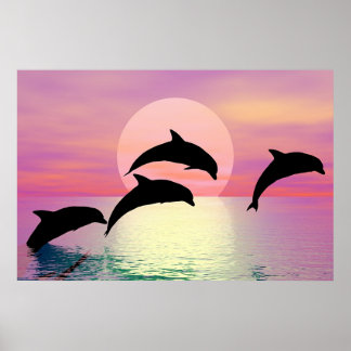 Poster Dolphin Silhouette