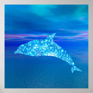 Póster Dolphin Star