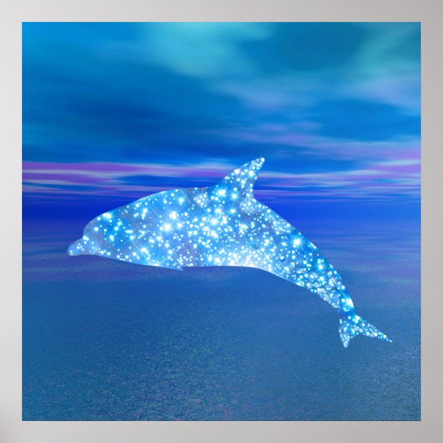 Póster Dolphin Star (Frente)