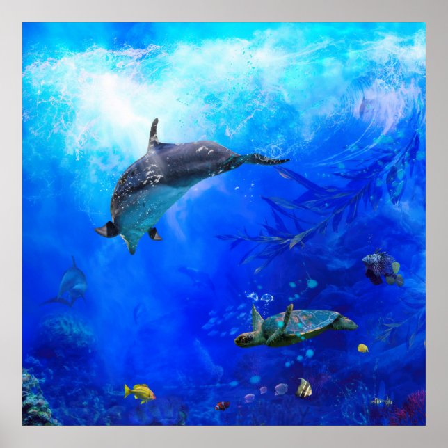 Poster Dolphin World "WIND ON WATER" (Frente)