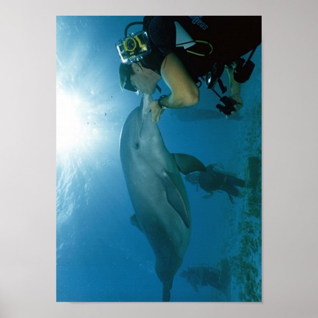 Poster Dolphins Kiss (Frente)