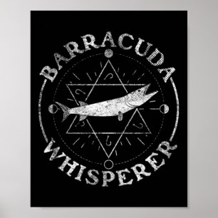 Poster Domador de Baracuda - Barracuda 