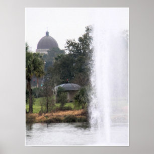 Poster Domes No Parque