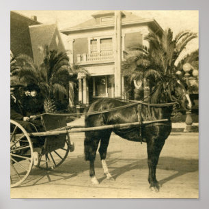 Póster Domingo melhor