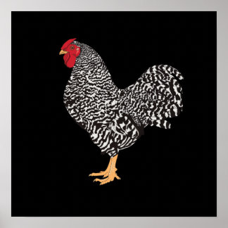 Poster Dominique Rooster