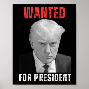 Poster Donald Trump 2024 Queria O Presidente
