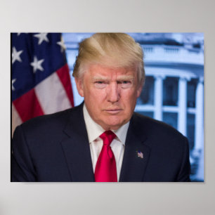 Póster Donald Trump como o presidente