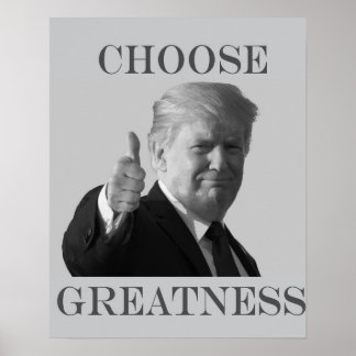 Poster Donald Trump Escolha a grandeza