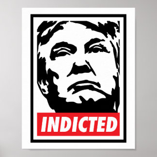 Poster Donald Trump Indicou 2023