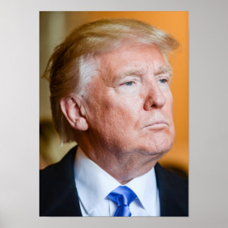 Poster Donald Trump Portrait