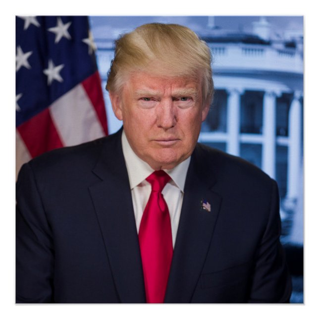 Póster Donald Trump Retrato Presidencial Oficial (Frente)