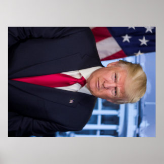 Poster Donald Trump Retrato Presidencial Oficial