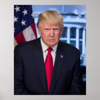 Poster Donald Trump Retrato Presidencial Oficial