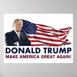 Póster Donald Trump US Flag