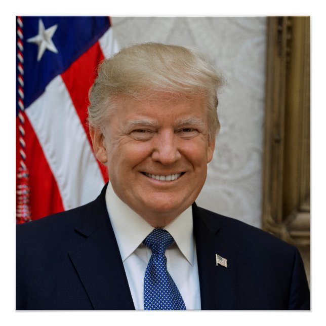 Póster Donald Trump US President White House MAGA 2024  (Frente)