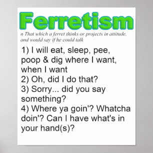 Poster Doninhas engraçadas