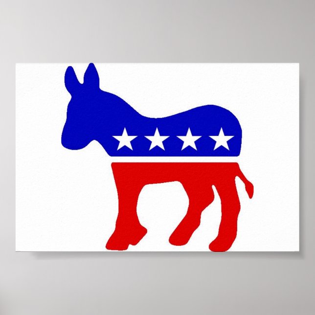 Poster Donkey (Frente)