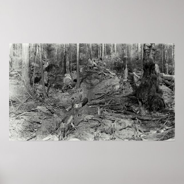 PÓSTER DONKEY A REGISTRAR UM COLO. 1880 (Frente)