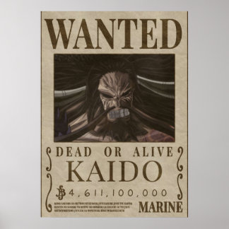 Poster Dono de KAIDO kaido