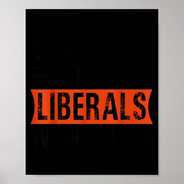 Poster Don't Make Fun Of Liberals Without Me Funny Litica (Frente)