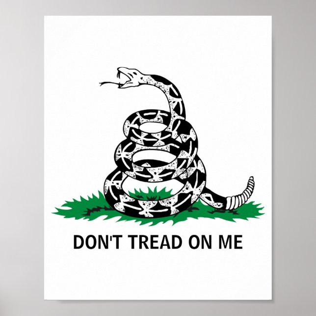 Poster Dont Tread On Me  (Frente)