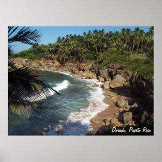 Póster Dorado, Porto Rico