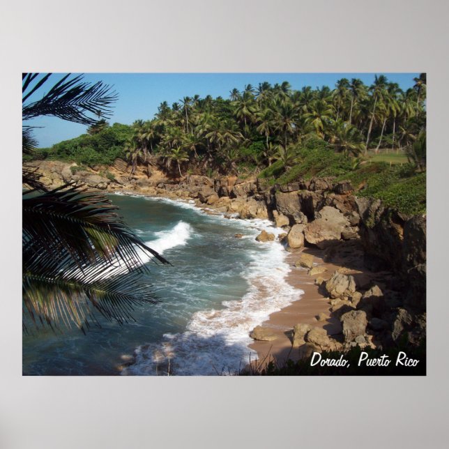 Póster Dorado, Porto Rico (Frente)