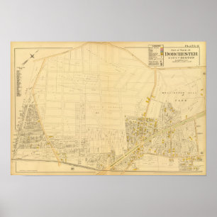 Poster Dorchester, Massachusetts 4