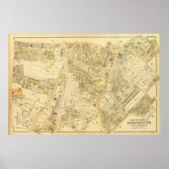 Póster Dorchester, Massachusetts 7 (Frente)