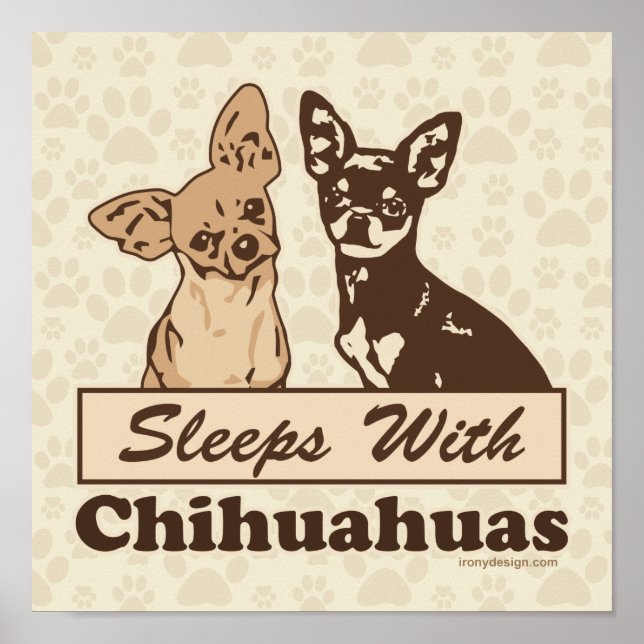 Poster Dorme Com Cão Chihuahuas (Frente)