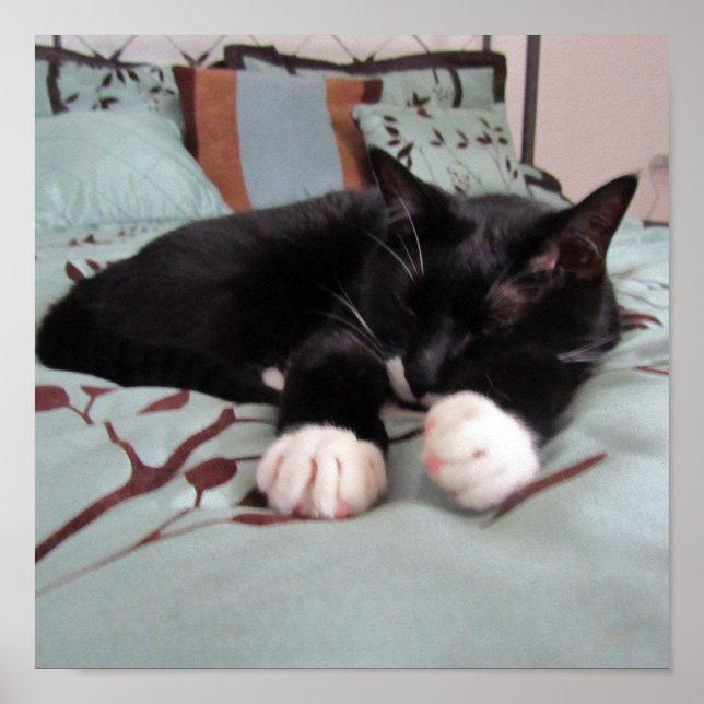 Póster Dormindo Lucy (Frente)