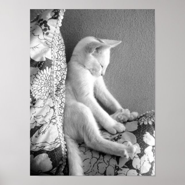 Poster Dormir (Frente)