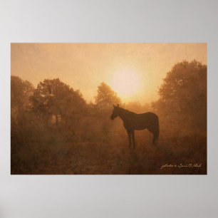 Póster Dormir Ao Sol