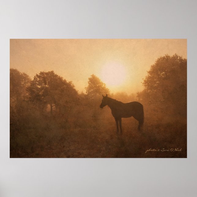 Póster Dormir Ao Sol (Frente)
