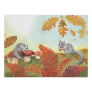 Póster Dorrato Gordo Europeu (Glis glis) na Natureza