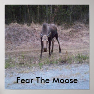 Poster dos alces