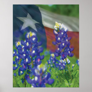 Poster dos bluebonnets da bandeira de Texas