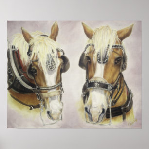 Poster dos cavalos de esboço