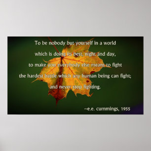 Poster dos Cummings da EE