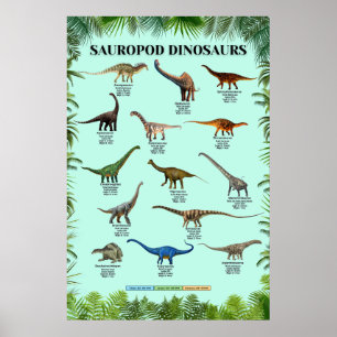 Poster dos dinossauros saurópode