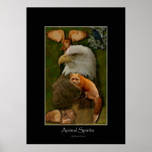 Poster dos ESPÍRITO ANIMAIS